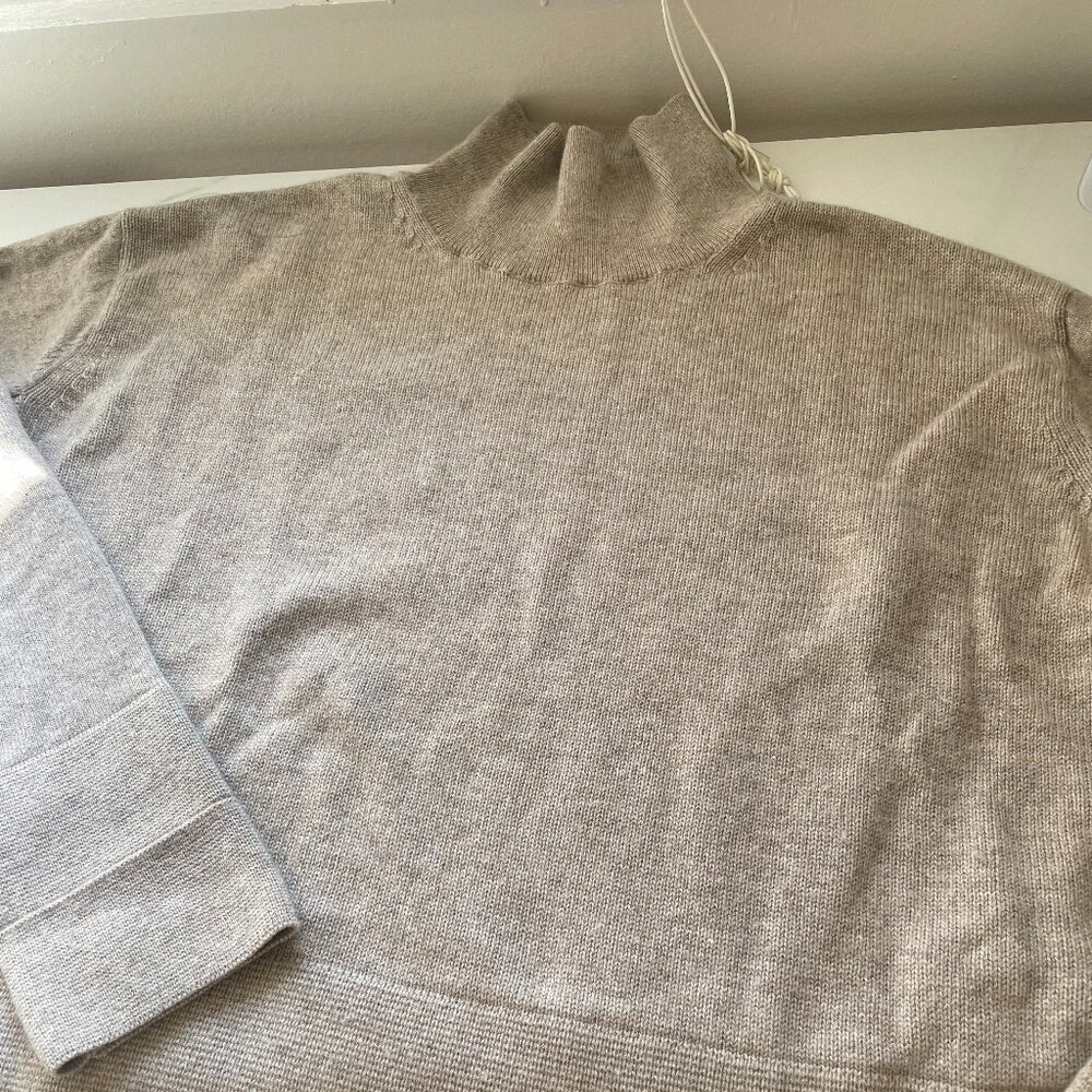 Everlane boxy cashmere turtleneck sweater